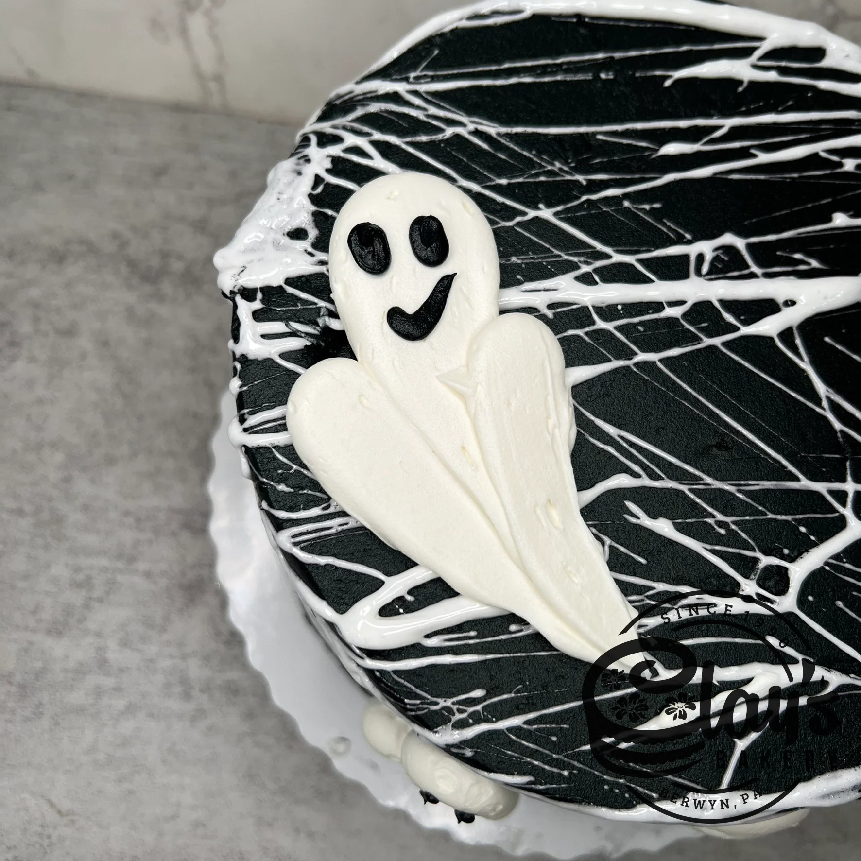 Caught A Ghost in a Marshmallow Web - Image 3
