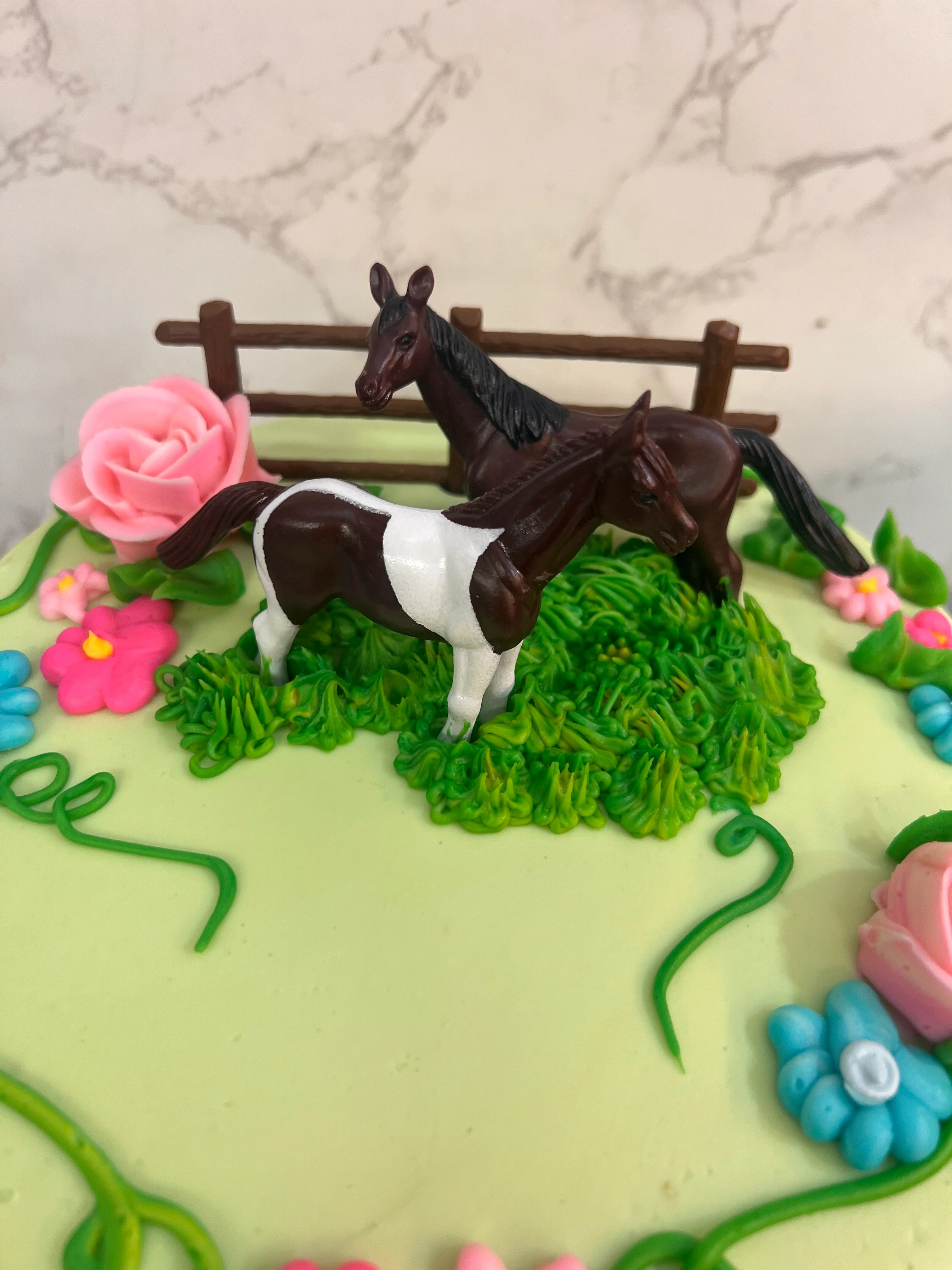 Garden Ponies - Image 3