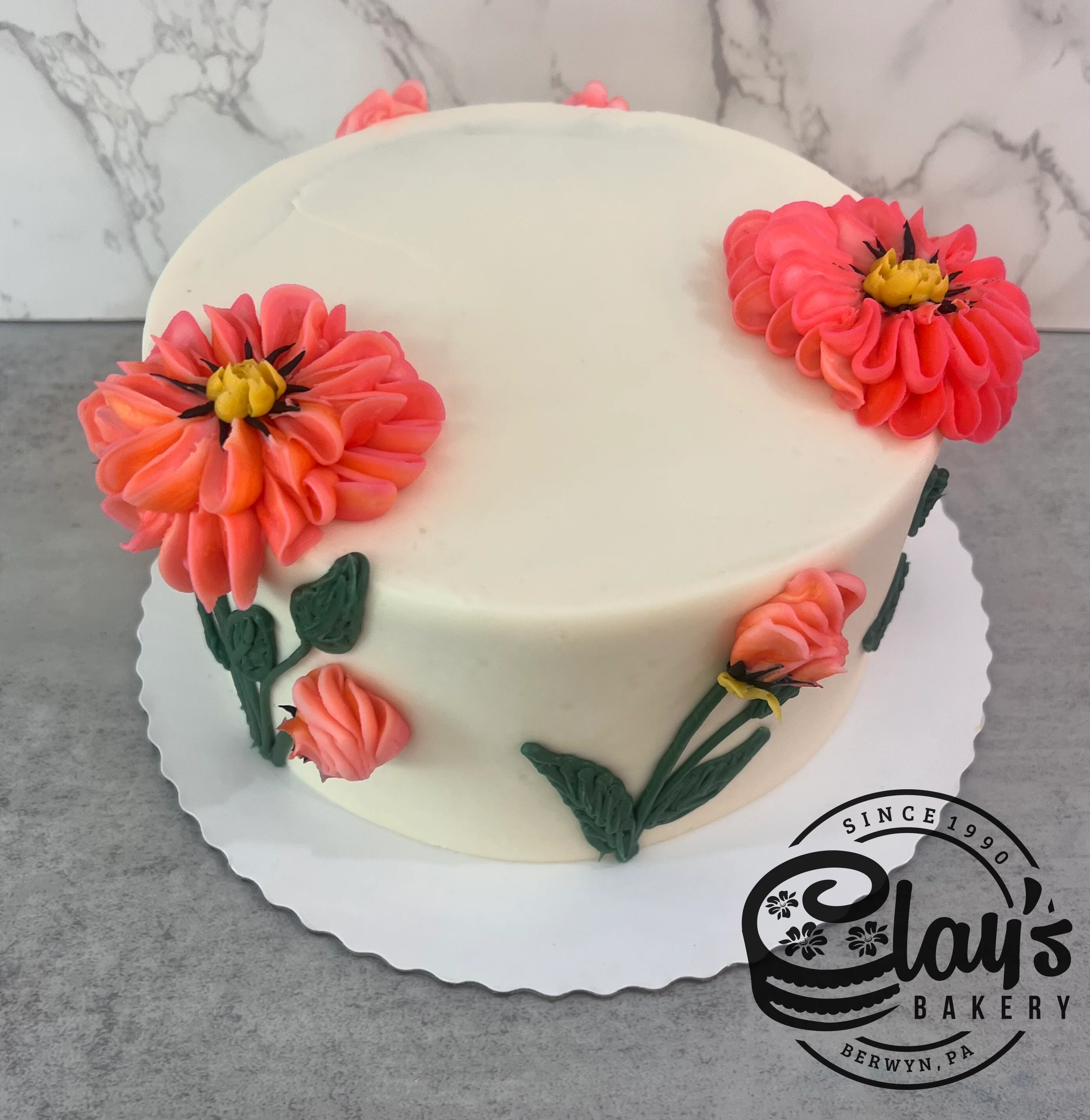 Gerber Daisies in Bloom