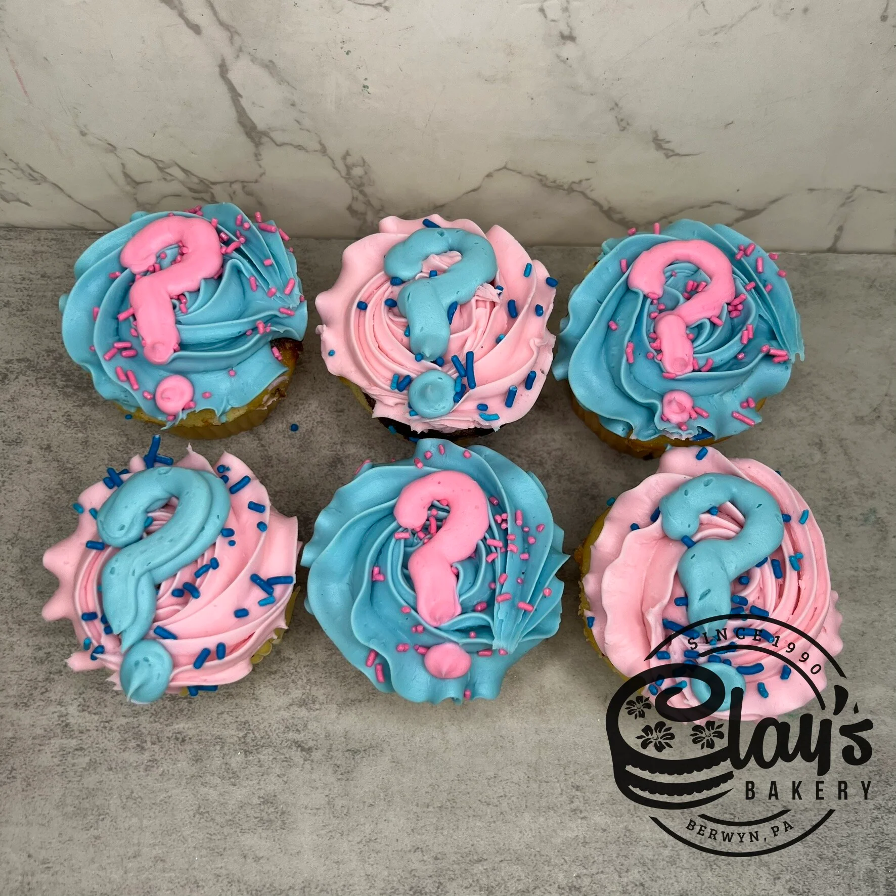 He or She Cupcakes (Gender Reveal Option)