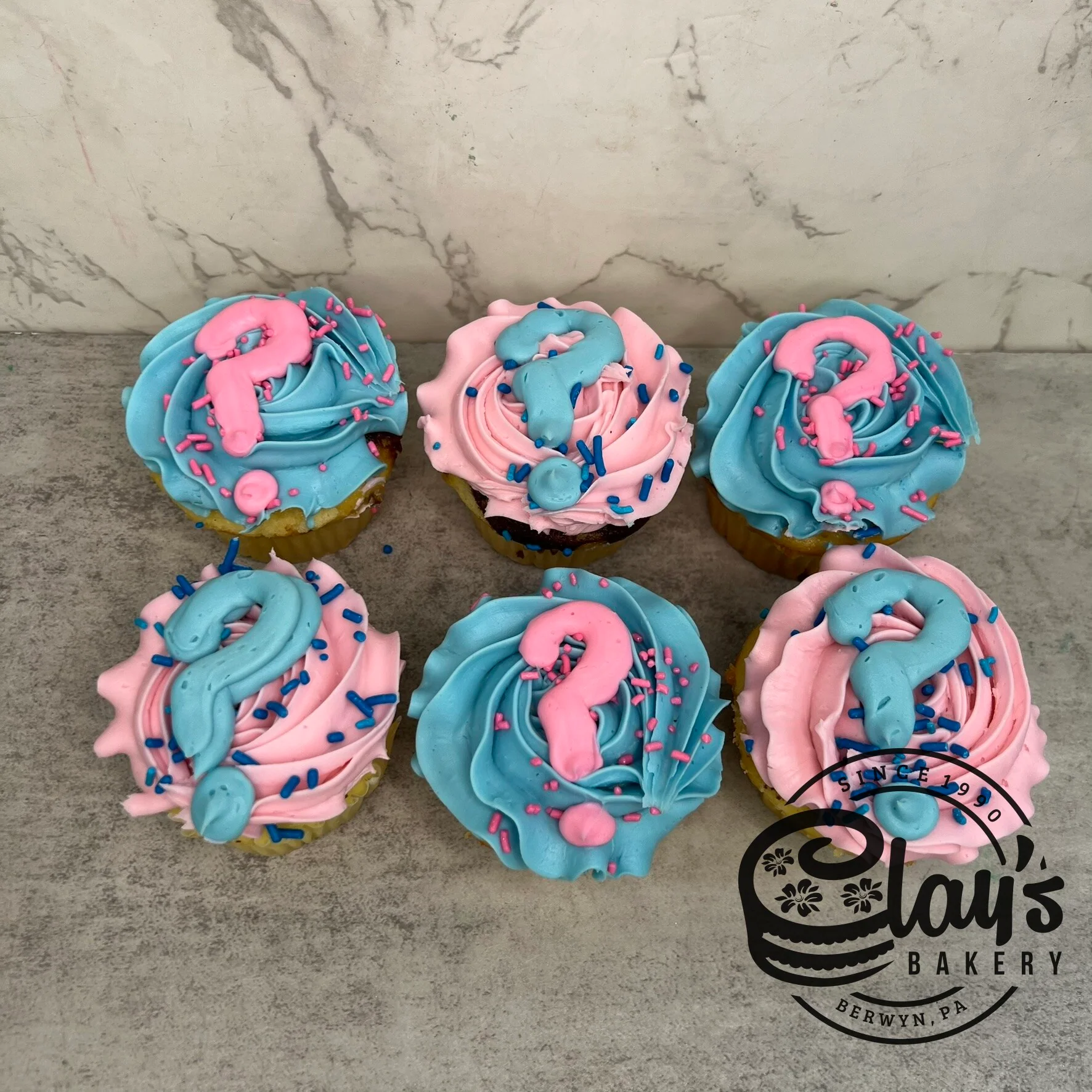 He or She Cupcakes (Gender Reveal Option) - Image 2