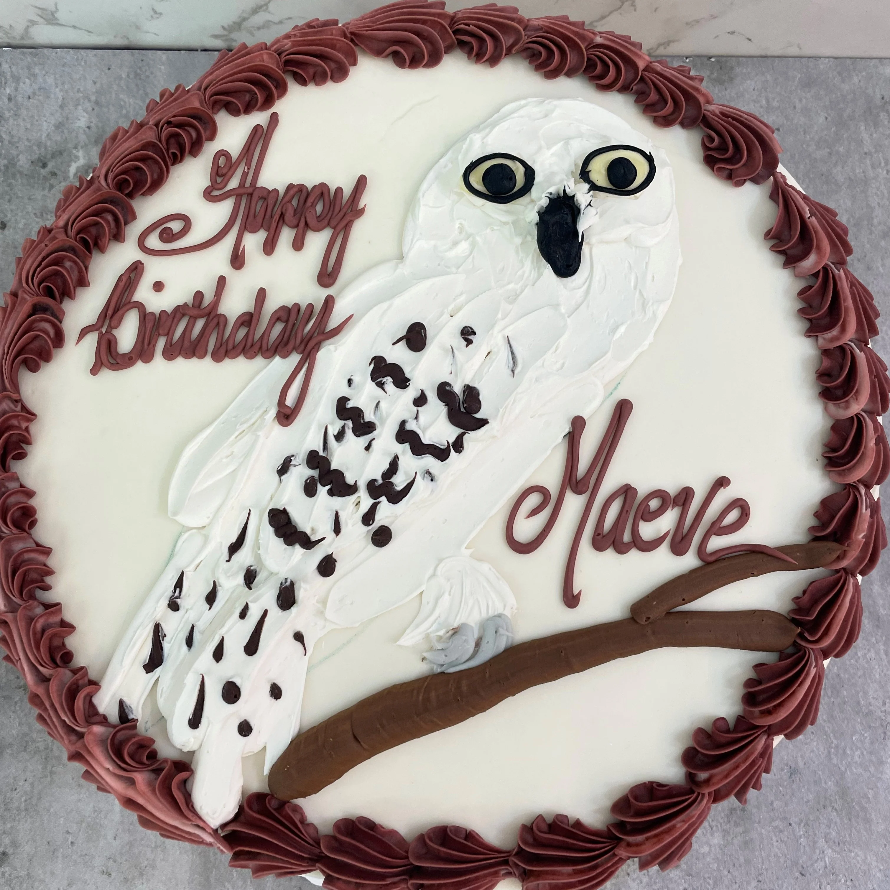 Magical School Owl - Image 2