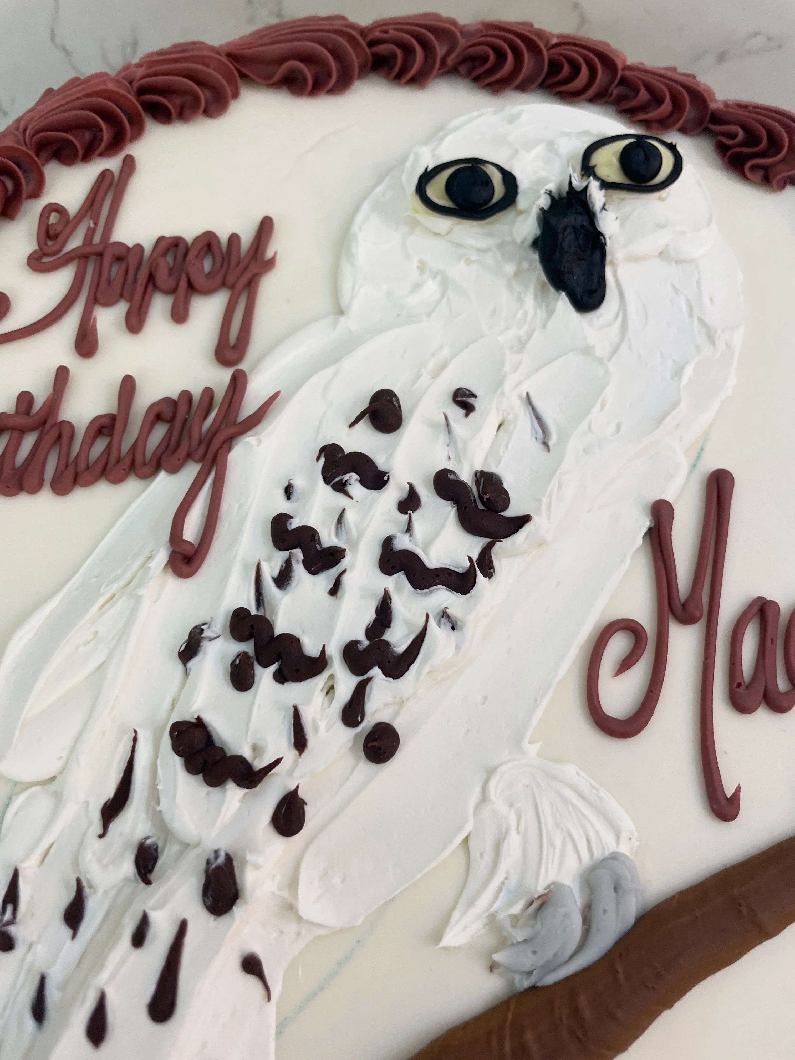 Magical School Owl - Image 3