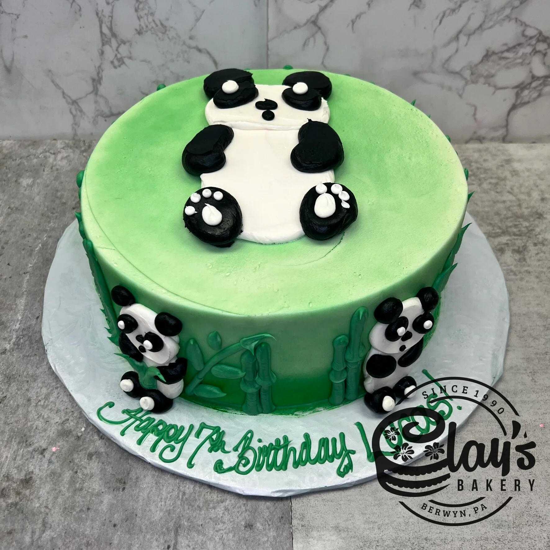 Panda Bears - Image 2