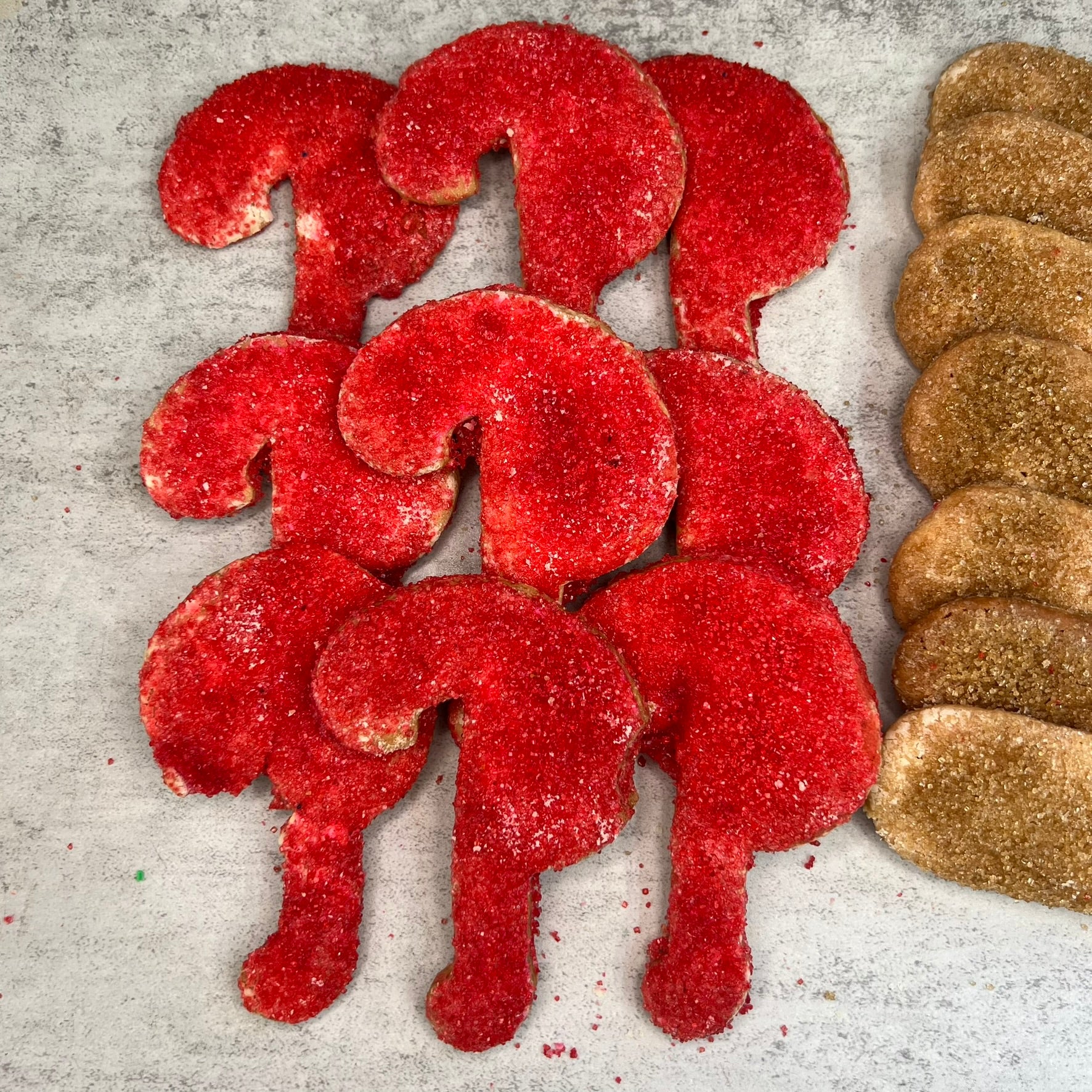 Phillies Sugar Cookies - Image 2