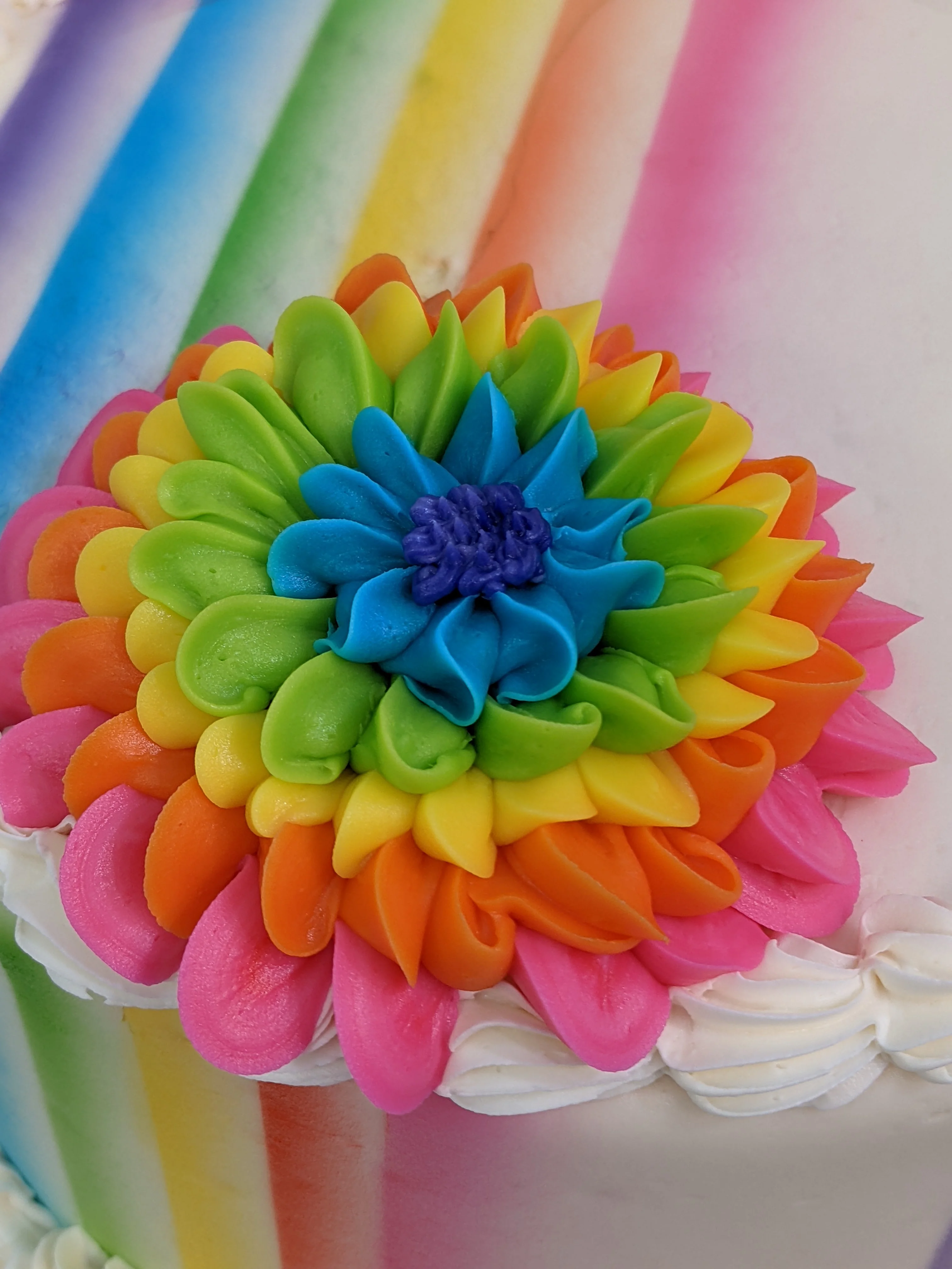 Rainbow Petals and Stripes - Image 3