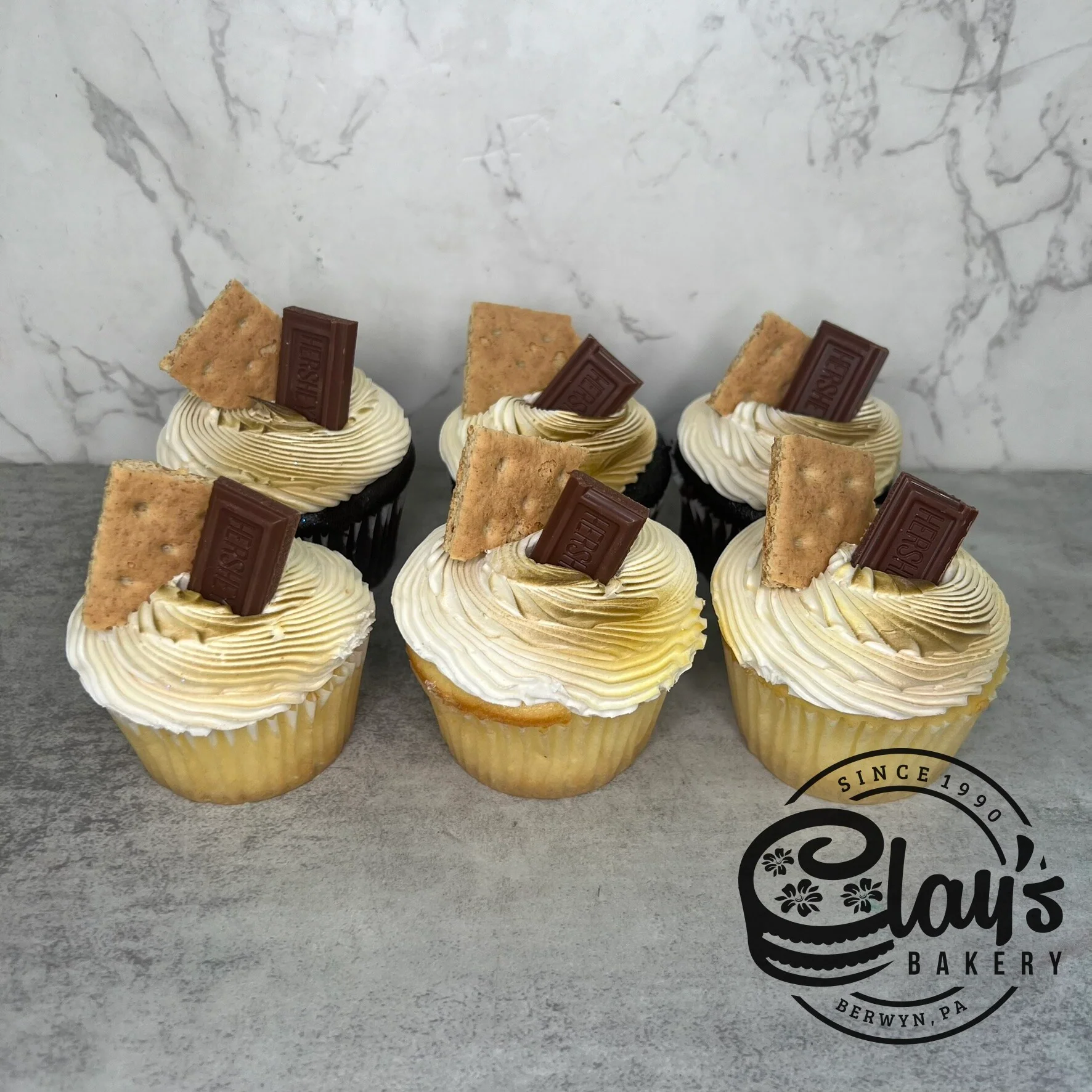 S'mores Cupcakes