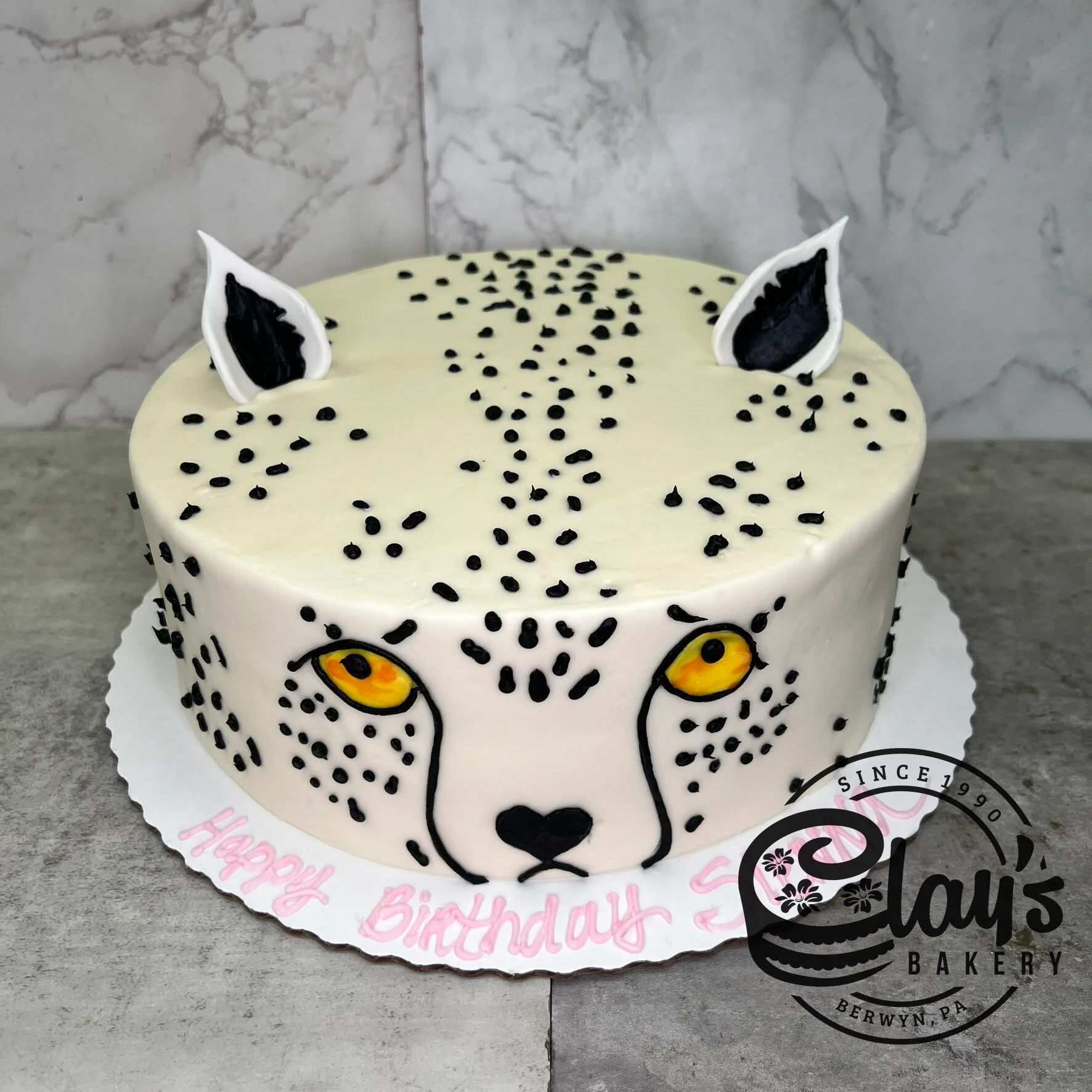 Snow Leopard - Image 2