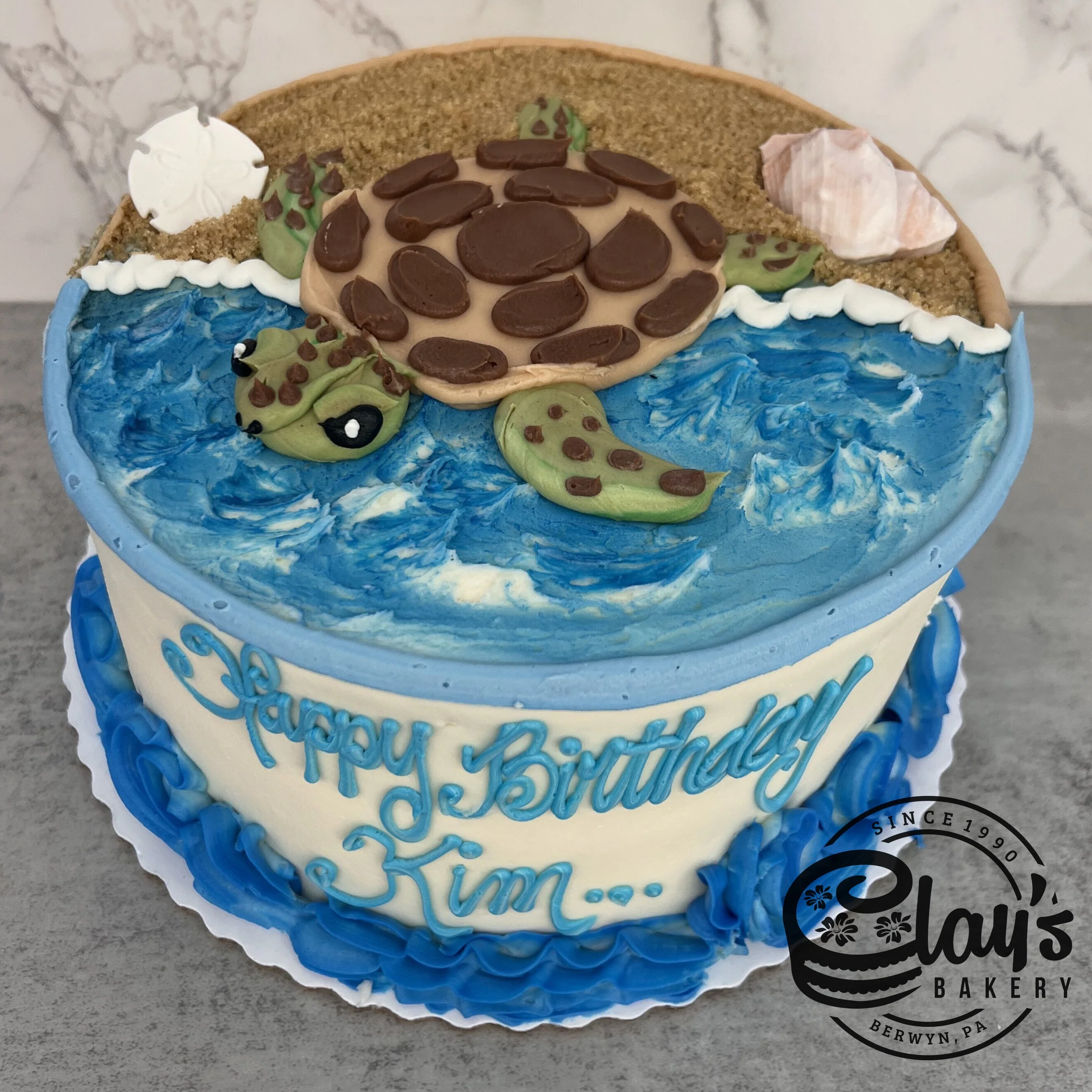 Turtle on the Shore